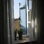 Apartment Dolphin And