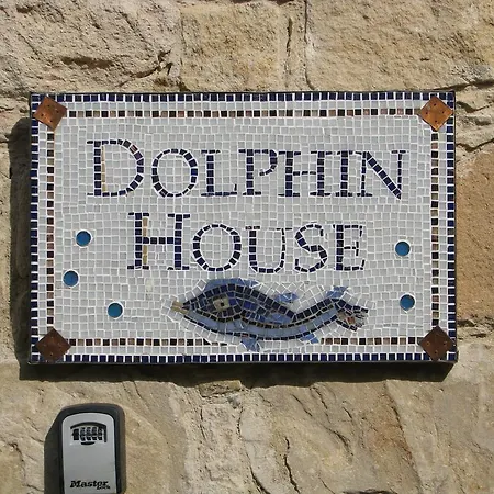 Dolphin And