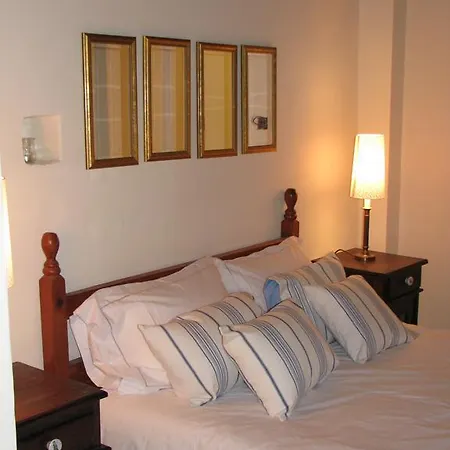 Dolphin And Apartament *