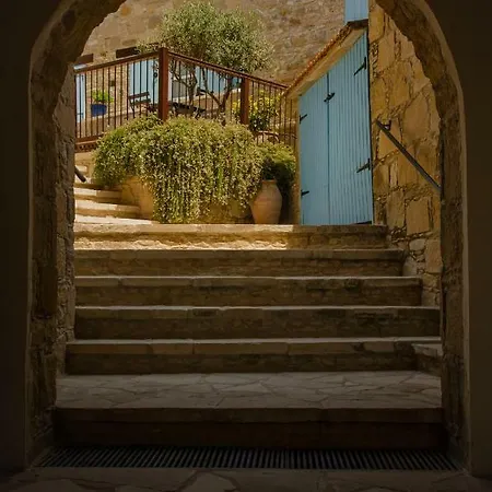 Dolphin And * Tochni