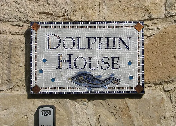 Dolphin And