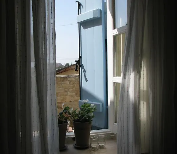 דירה Dolphin And