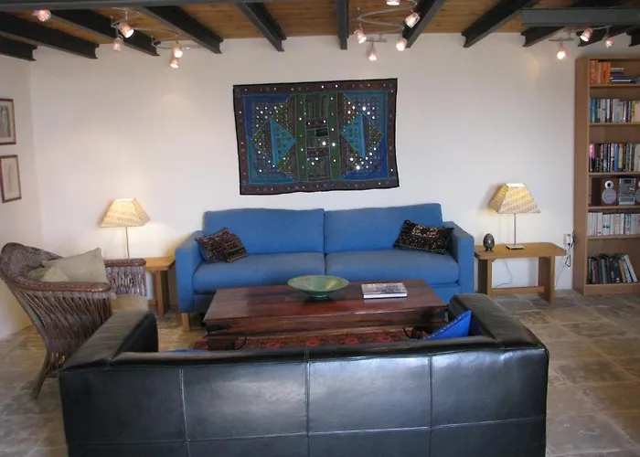 Dolphin And 토치니