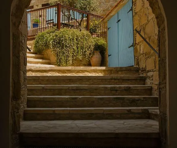 Dolphin And * טוקהיני